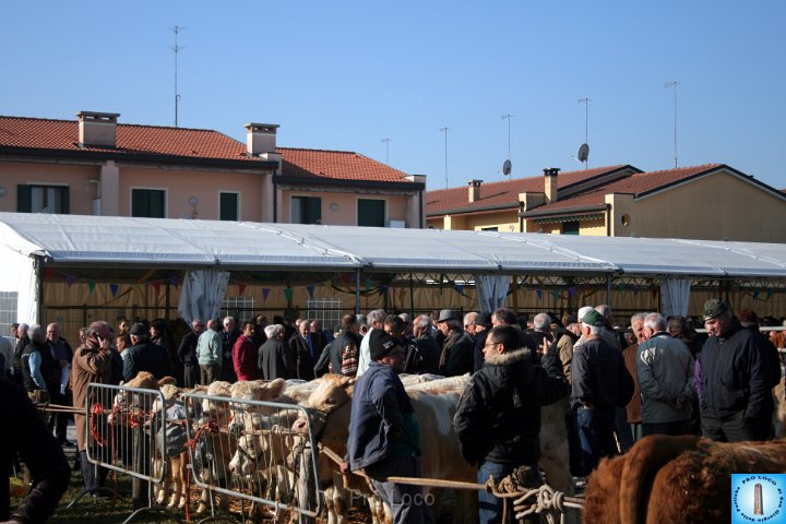 Fiera del lunedì (460).JPG